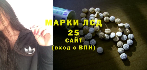 стаф Арсеньев