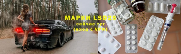 стаф Арсеньев