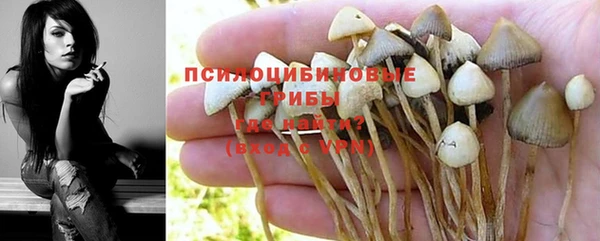 стаф Арсеньев