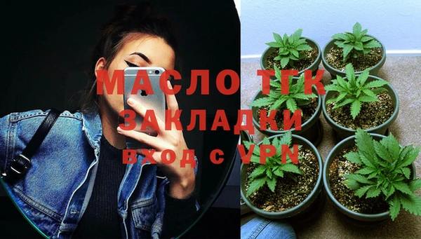 стаф Арсеньев