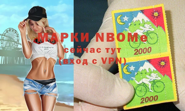 стаф Арсеньев