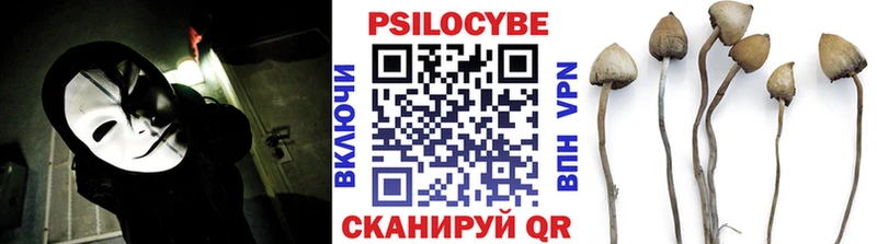 Псилоцибиновые грибы Cubensis  мега ССЫЛКА  Лахденпохья 